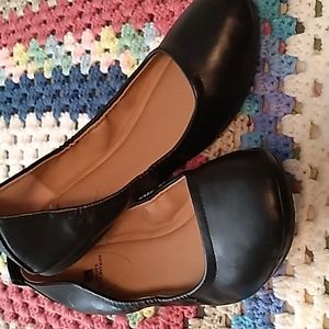 White Mountain Black Flats